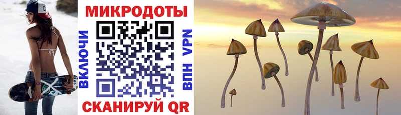 магазин продажи   Аргун  Псилоцибиновые грибы Cubensis 